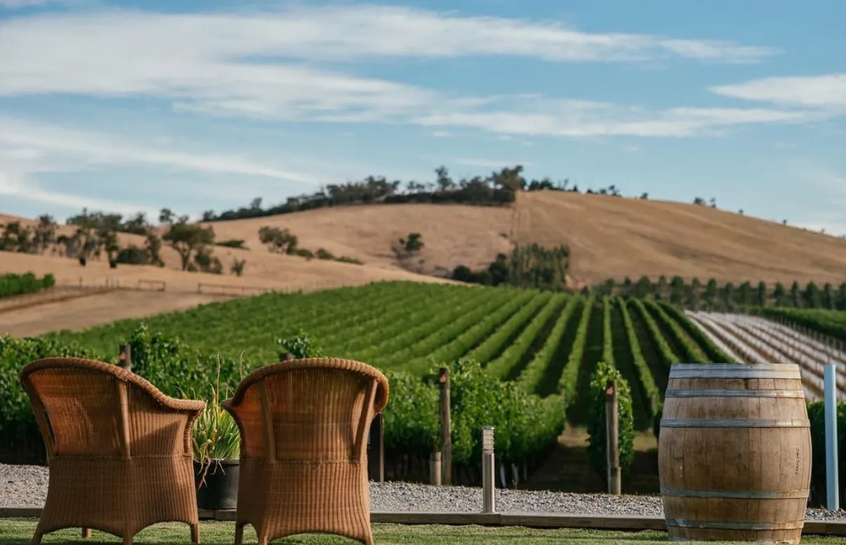 A Beginner’s Guide to Yarra Valley Wine Tasting