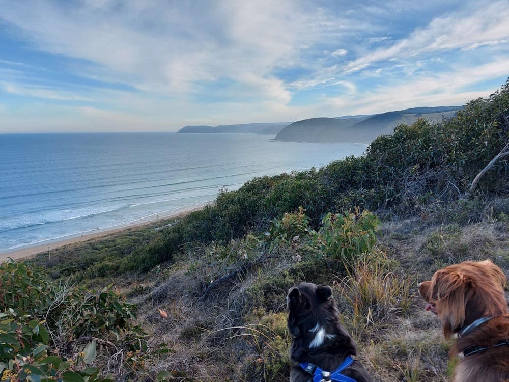 Coastal scenery seen from Ocean View Lookout
