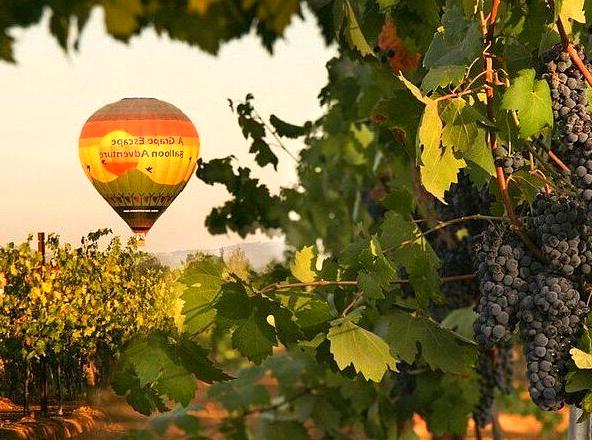 Magical dawn balloon journey across the Blue Mountains.