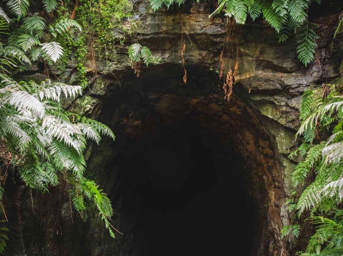 Explore the Captivating Glow Worm Tunnels
