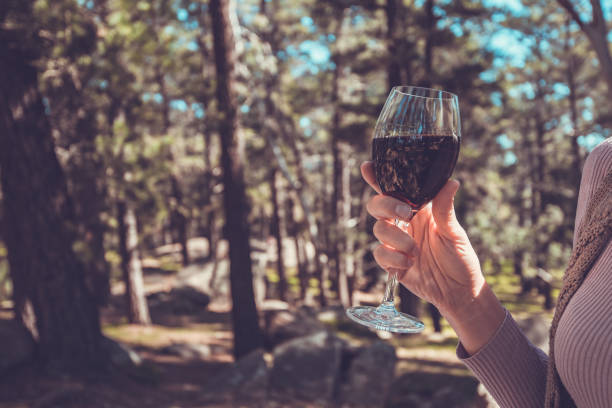 A Journey Through Australia's Wine Regions: Margaret River and Barossa Valley