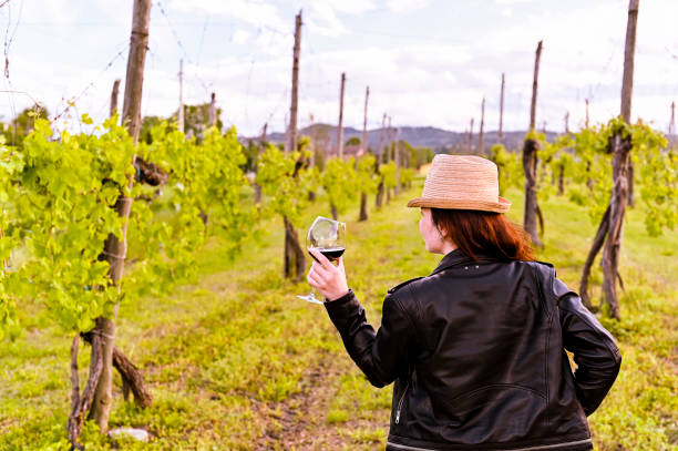 An Exploration of Wine Regions in Australia: Margaret River to Barossa Valley
