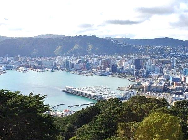 Experience Mount Victoria: Nature and History