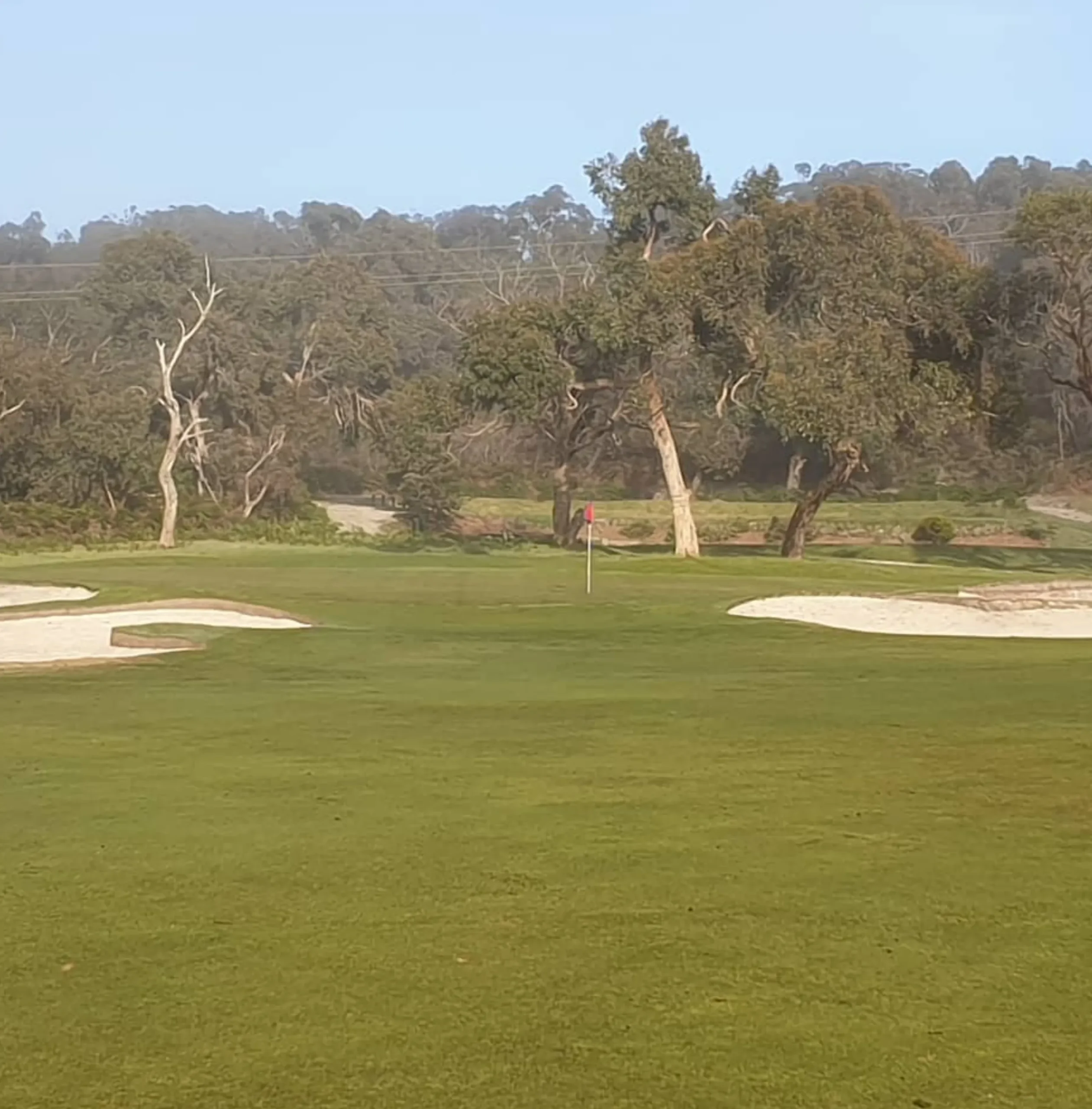 Anglesea Golf Club