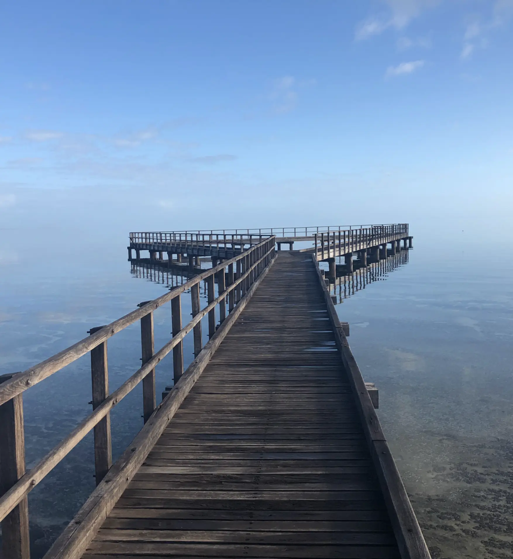 Hamelin Pool Stromatolites