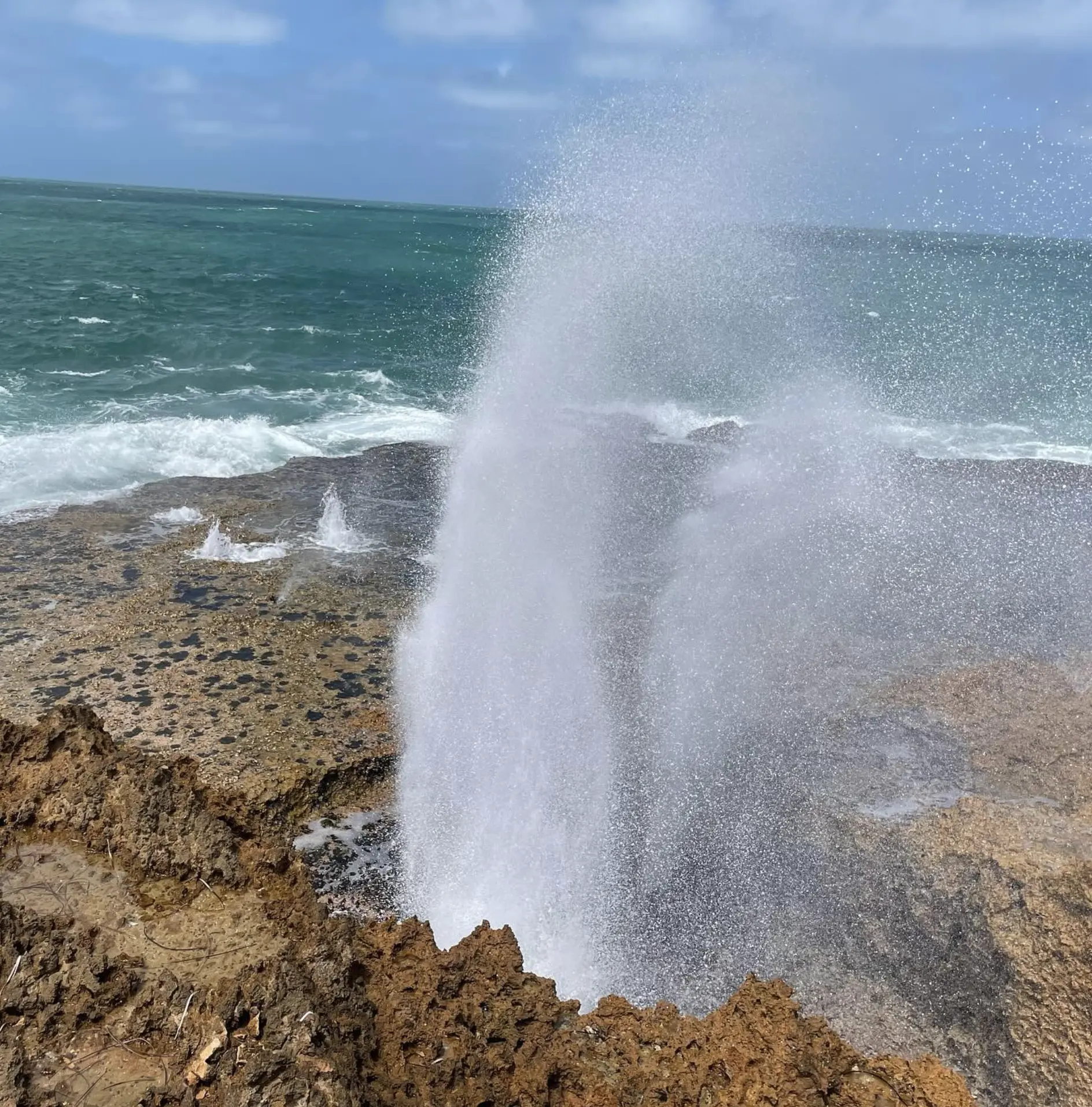 Shark Bay