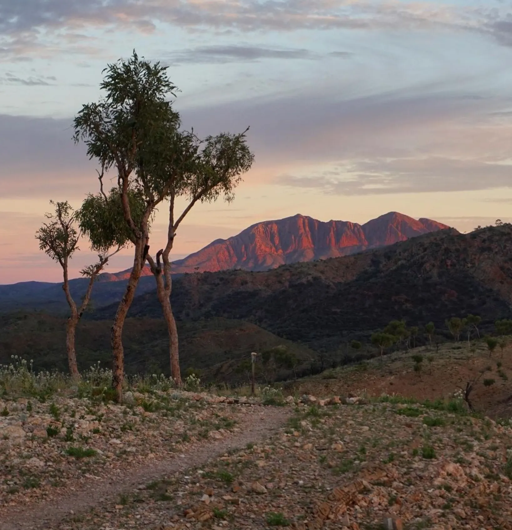 Arrernte Country