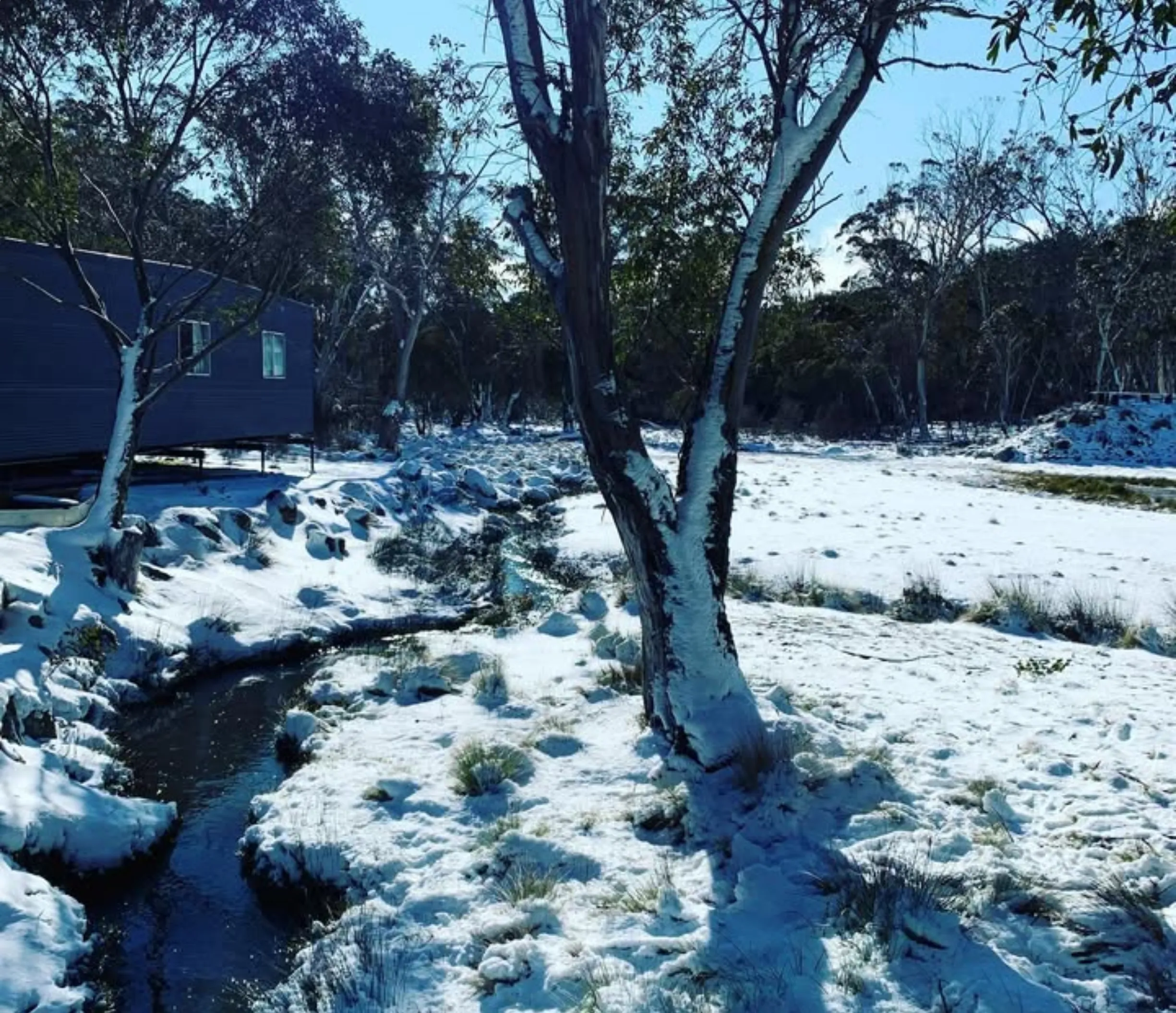 snow day trip from Melbourne